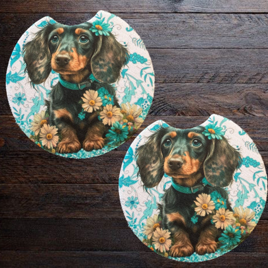 Daisy Doxie